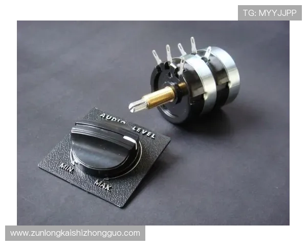 尊龙官方入口：详细介绍官方入口的使用方法与注意事项