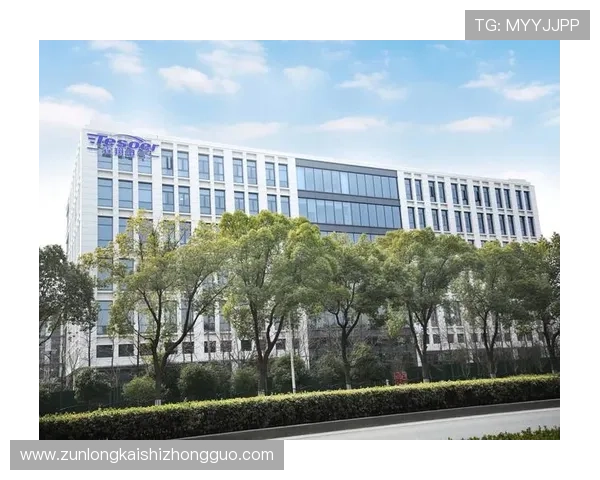 揭秘尊龙凯时公司在行业内的领先优势与挑战