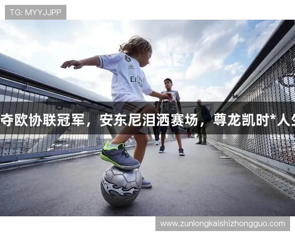 凯时尊龙人生就是博-活动奖励揭秘，带你了解各种稀有奖励的获取途径与技巧