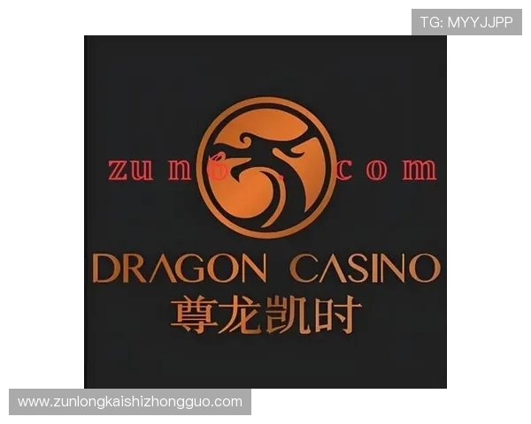 尊龙人生就是博首页注册平台安全保障措施全面解析保障玩家账户安全