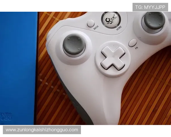 凯时KS娱乐官网多样化游戏类型介绍满足不同玩家的娱乐需求